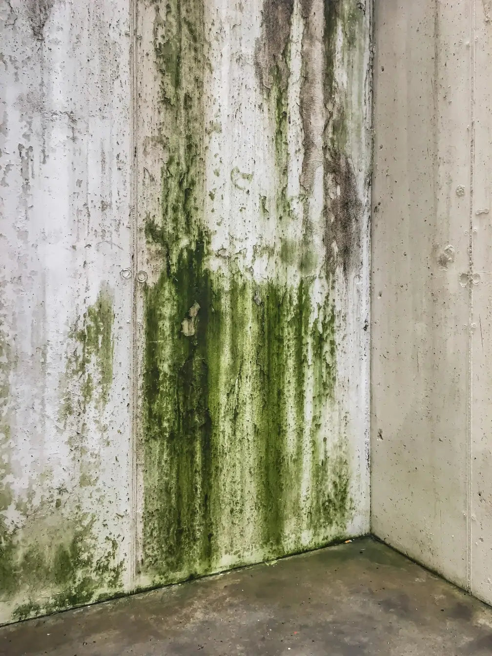 Papel de Parede: A Tecnologia Antimofo e Antichamas para Ambientes Seguros