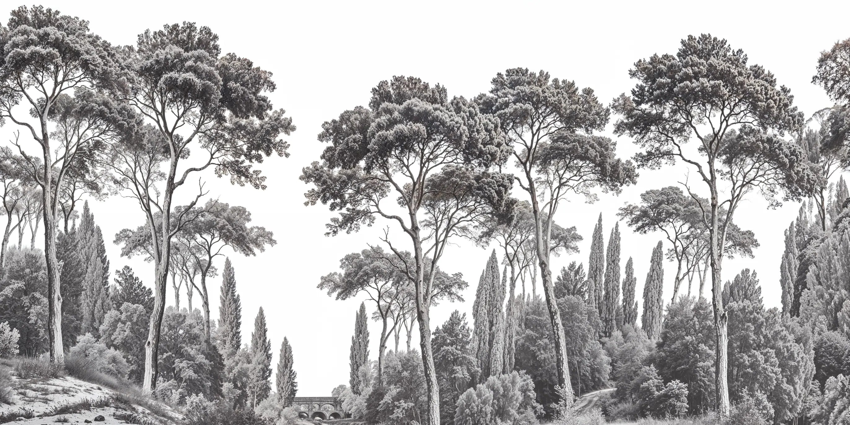 Papel de Parede Mural Floresta Clássica Monocromática