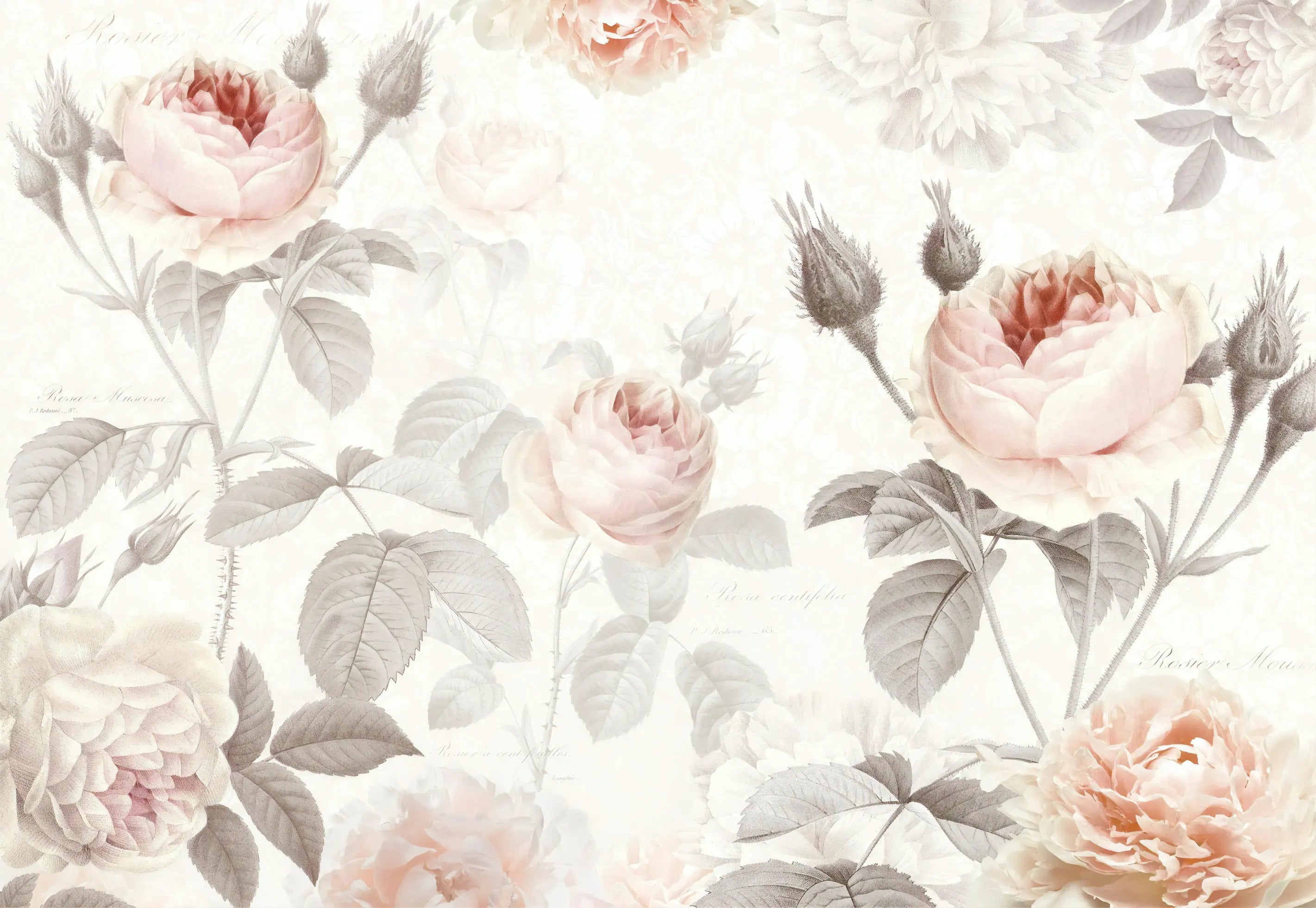 Papel de Parede Floral Rosa Vintage