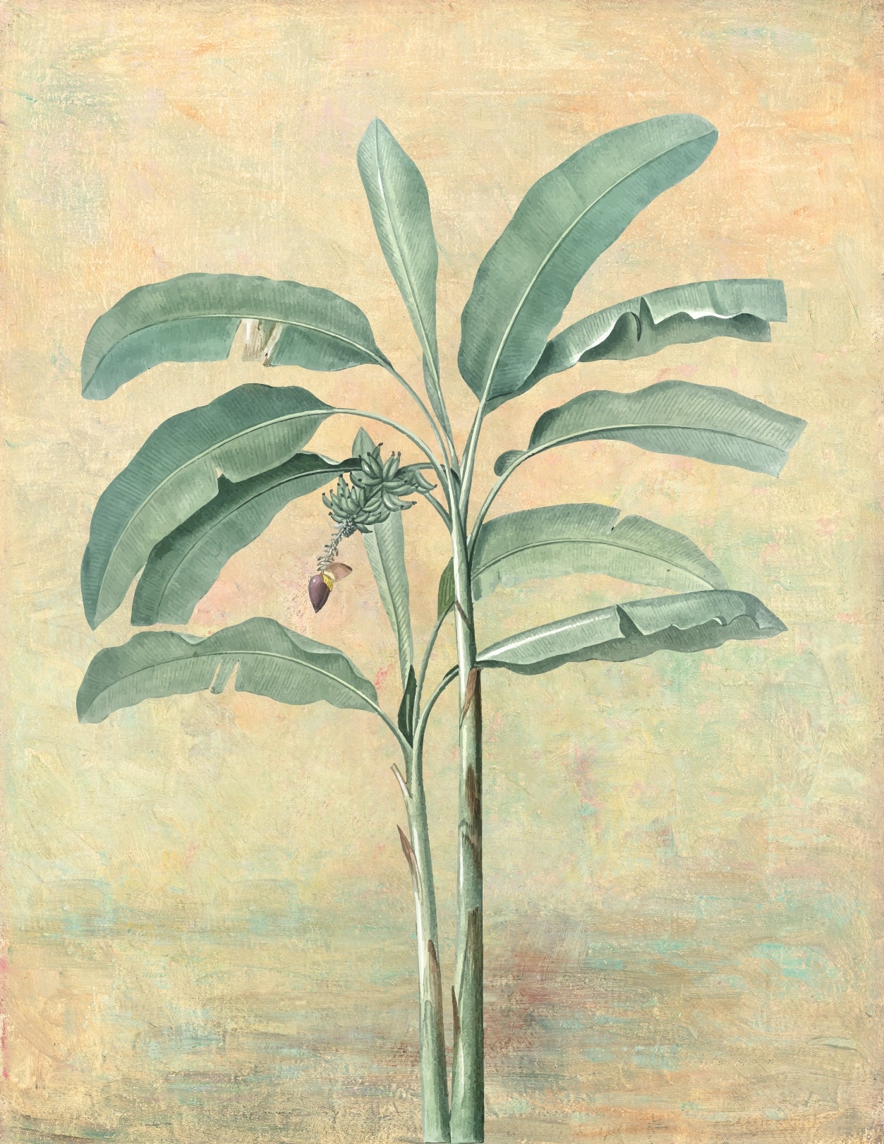 Papel de Parede Bananeira Vintage: Elegância Tropical Retrô