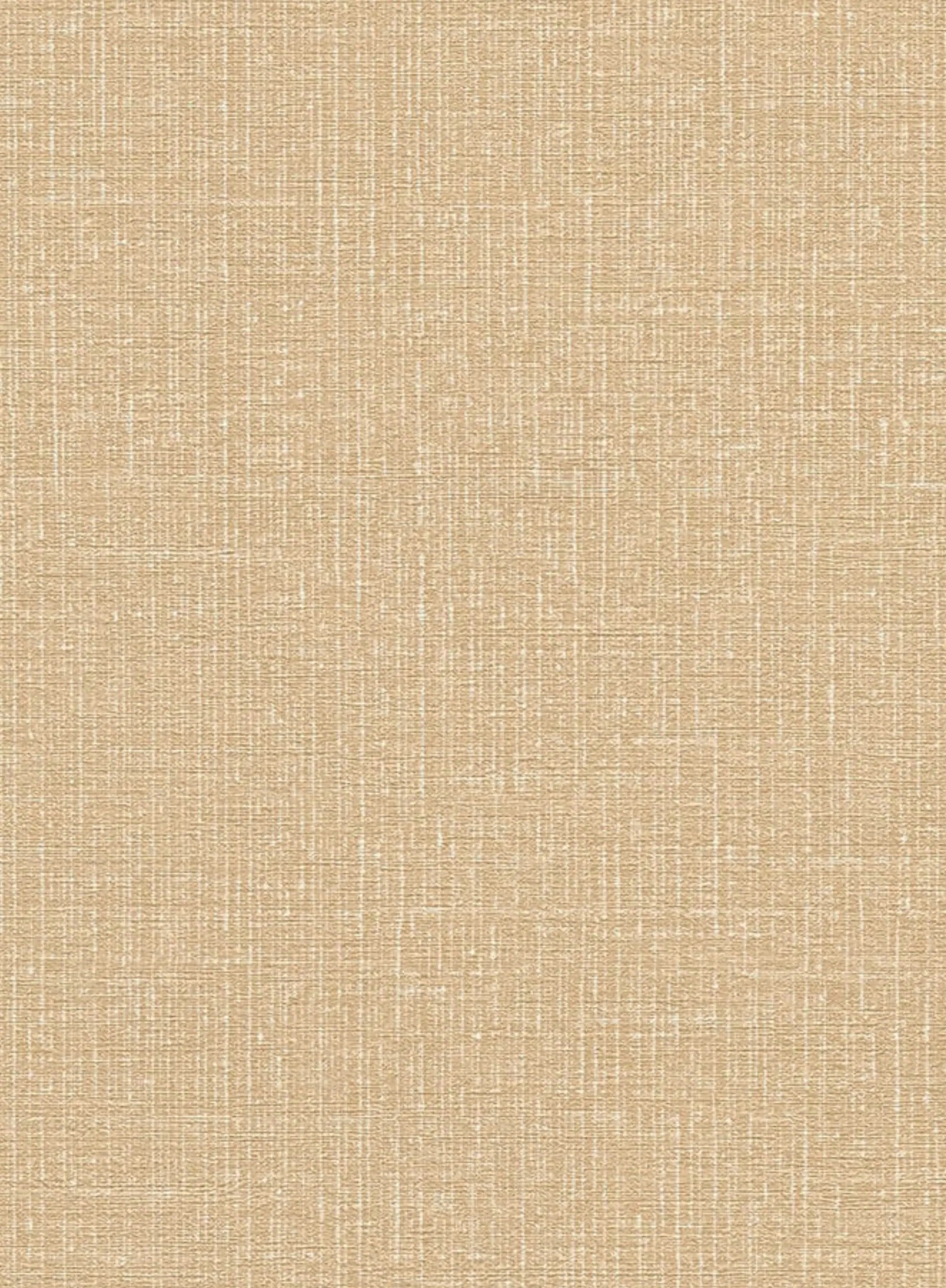 Papel de Parede Fundo Texturizado AD13