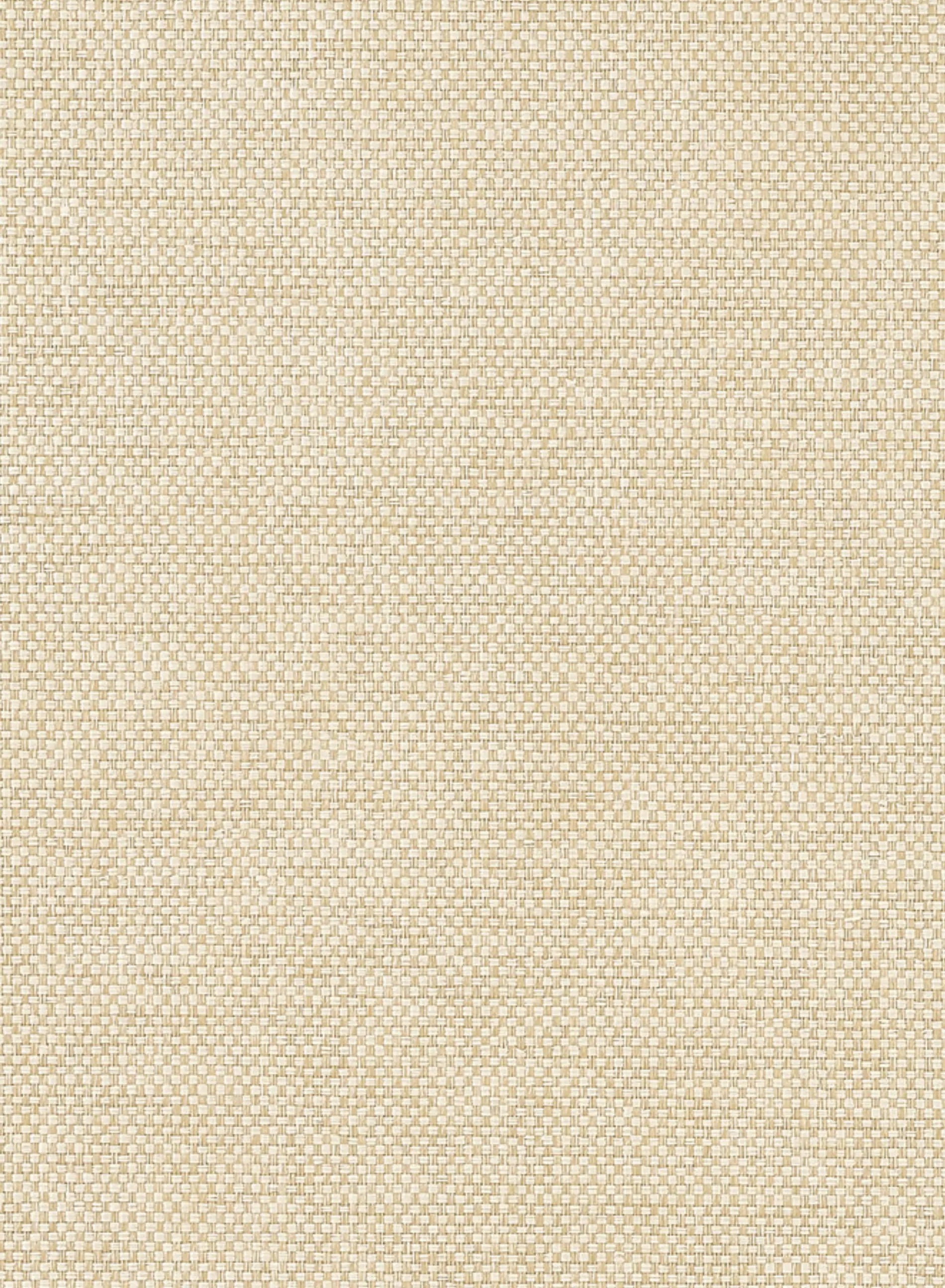 Papel de Parede Fundo Texturizado AD16