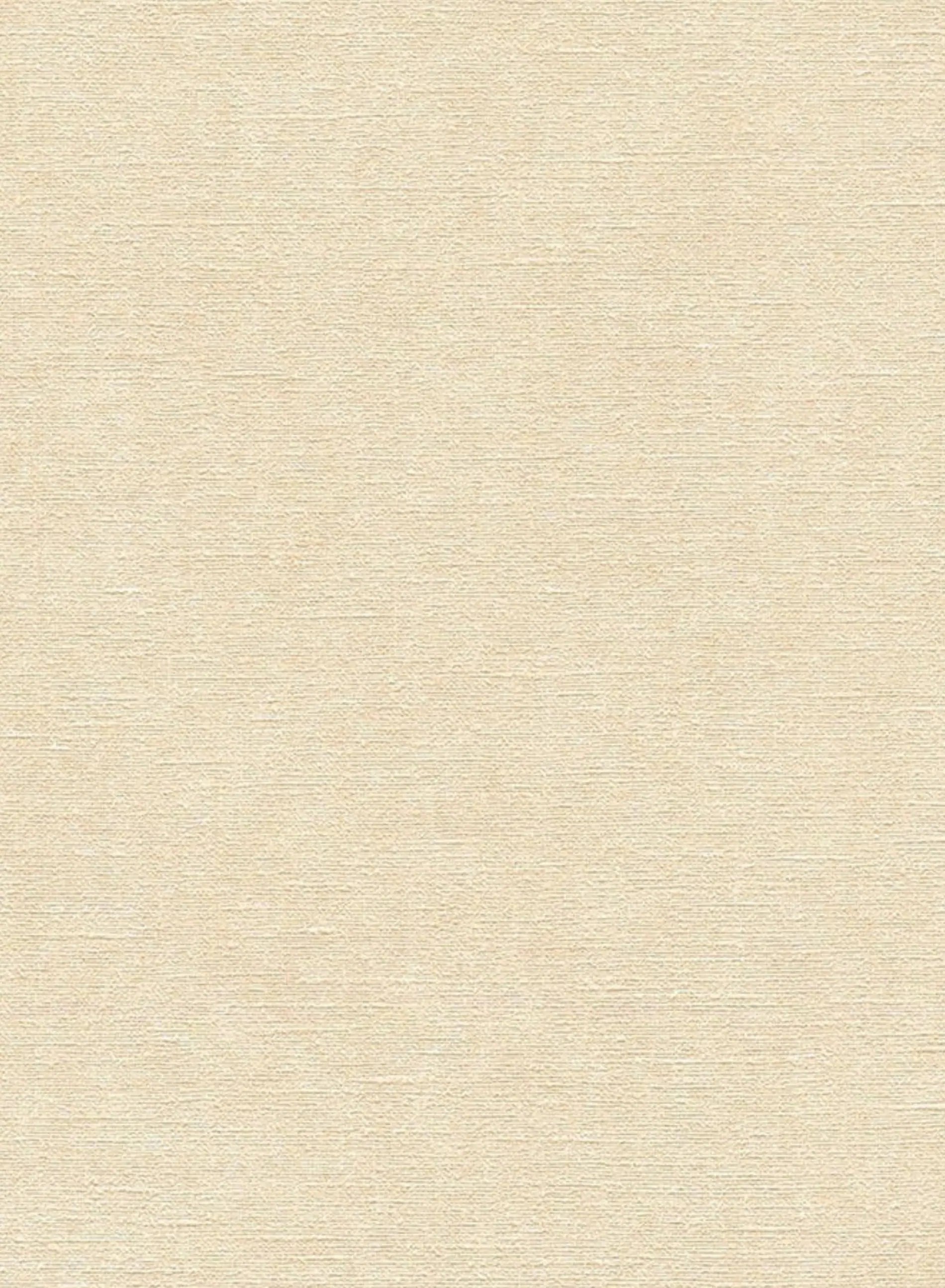 Papel de Parede Fundo Texturizado AD18
