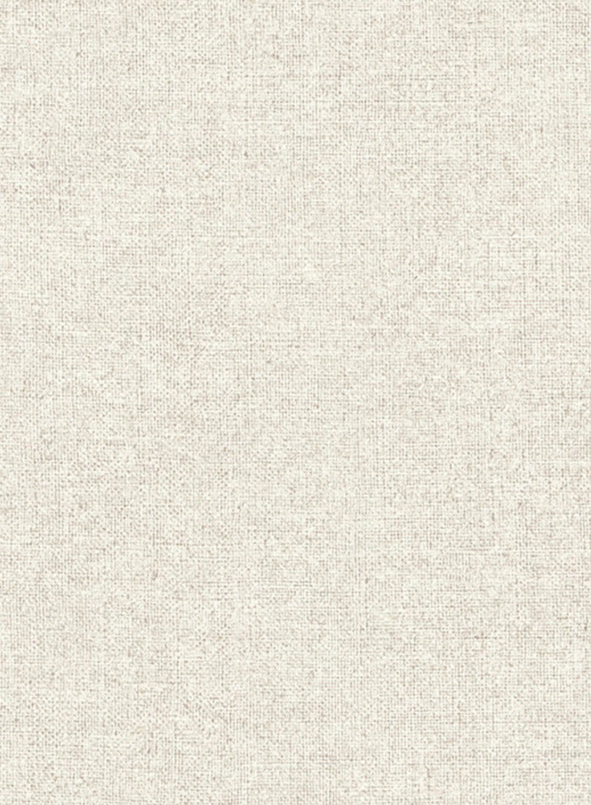 Papel de Parede Fundo Texturizado AD26